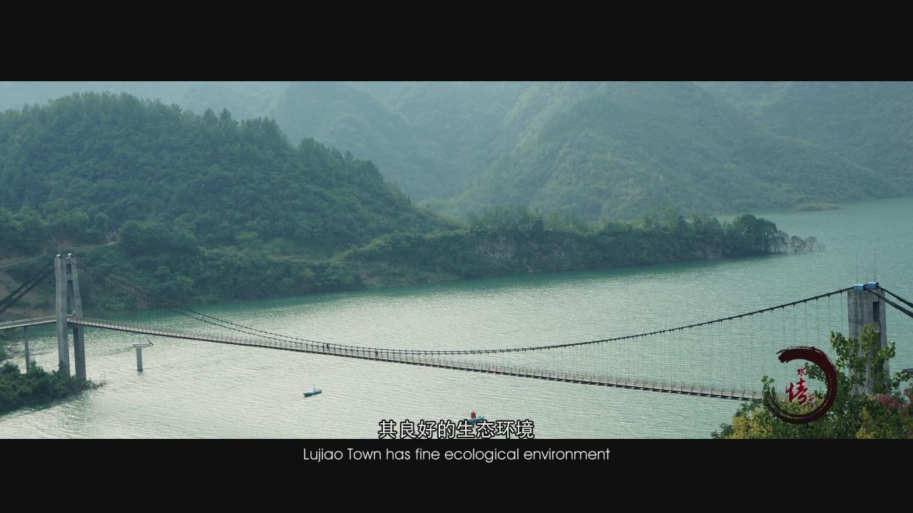 &#76;&#69;&#84;&#79;&#85;&#46;&#67;&#79;&#77;&#45;&#20048;&#25237;&#65288;&#20013;&#22269;&#65289;
